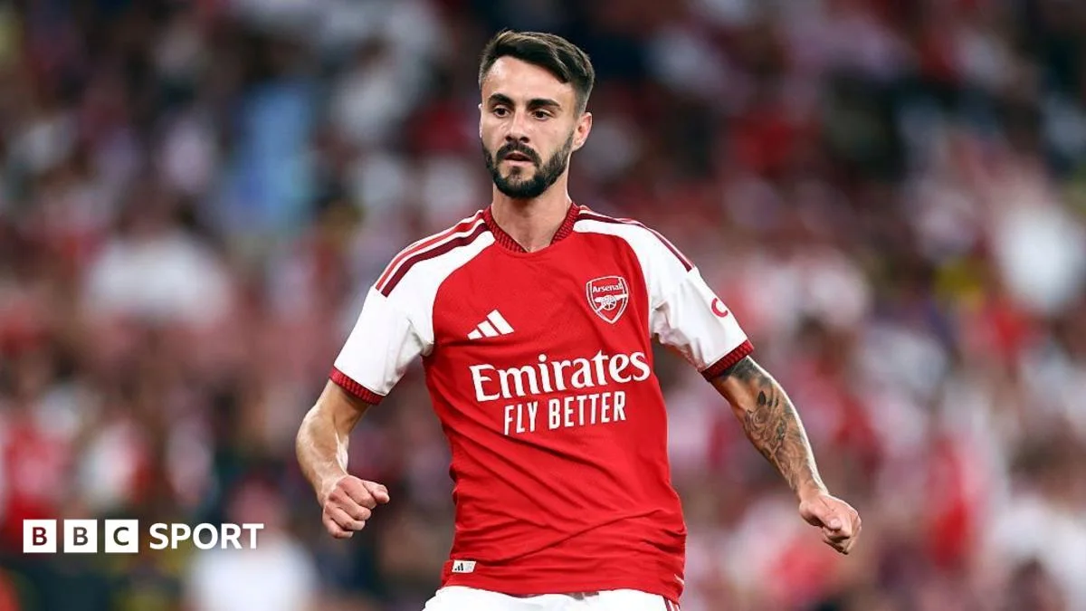 Hamburg in advanced talks for Arsenal midfielder Fabio Vieira